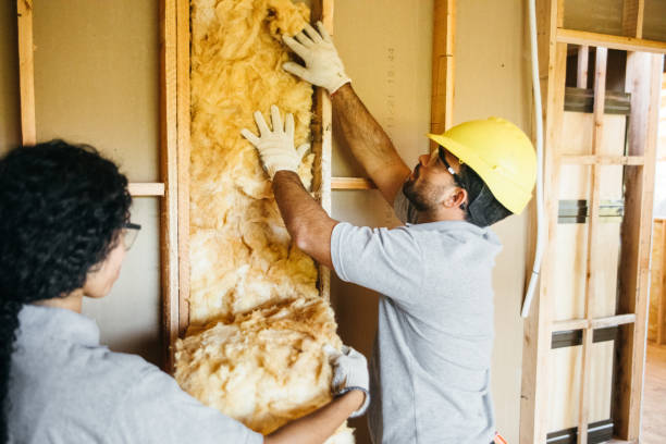 Best Eco-Friendly or Green Insulation Solutions  in Mount Vernon, TX