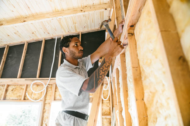 Best Crawl Space Insulation  in Mount Vernon, TX